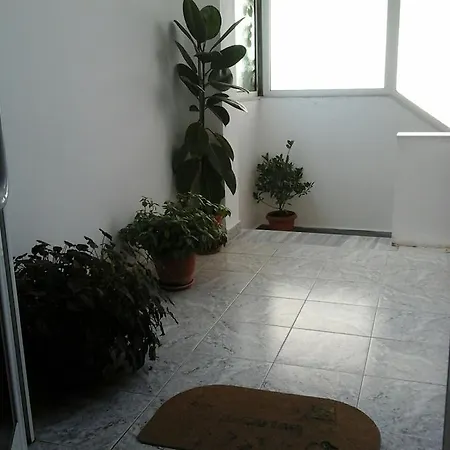 Qurku 3*